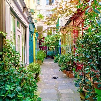 Vegan Food Tours Paris